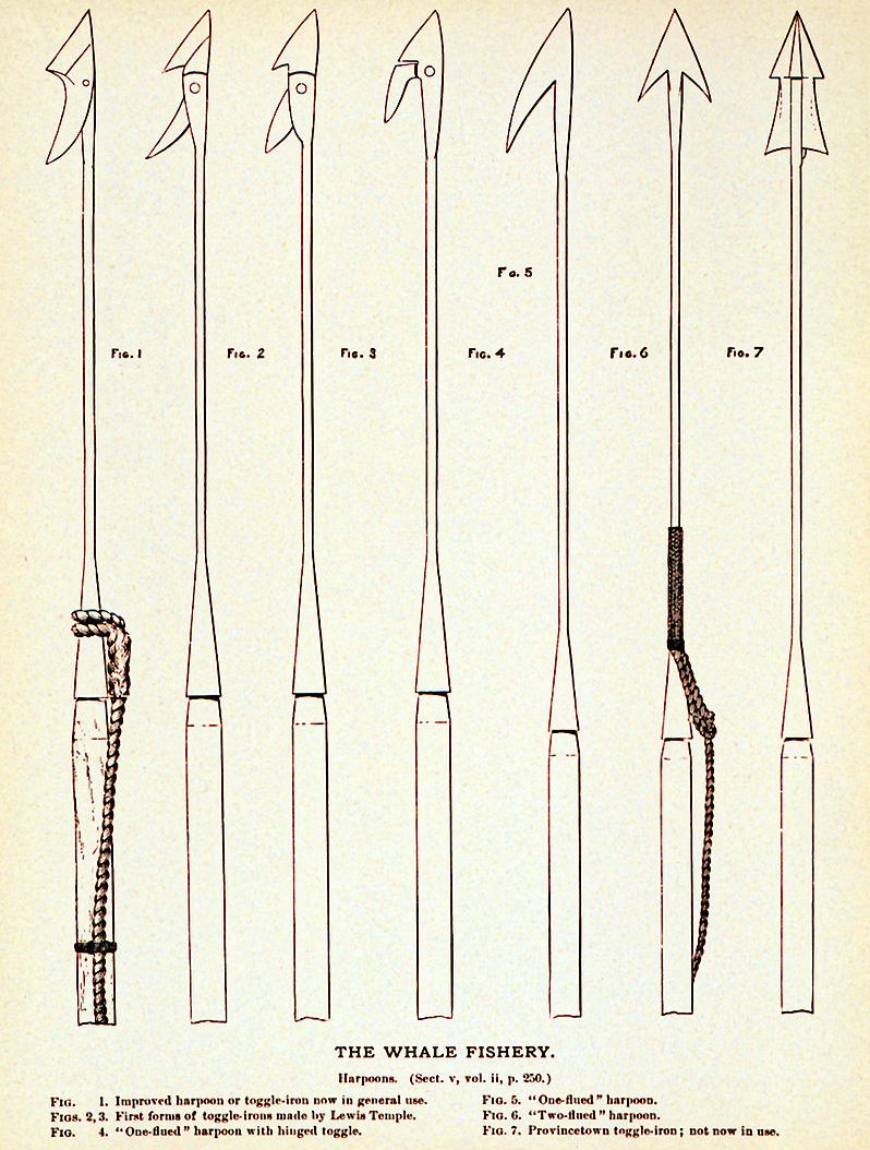 19th century whaling harpoon