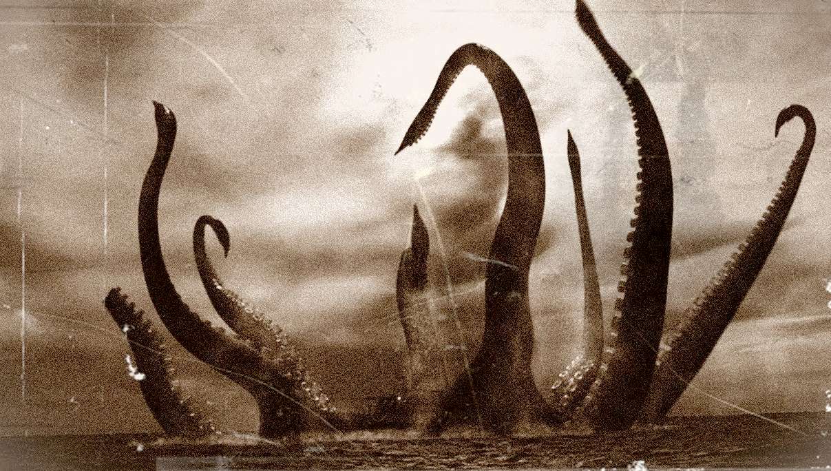 sightings of the kraken